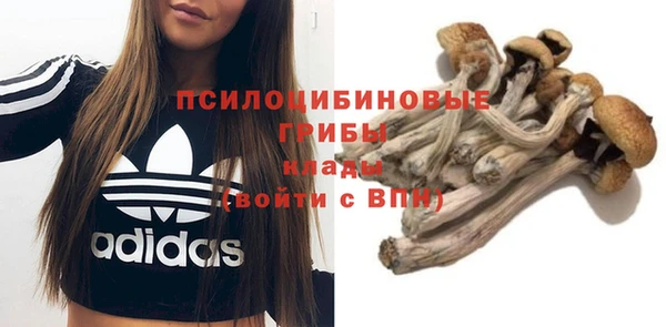 соль курить ск Семёнов