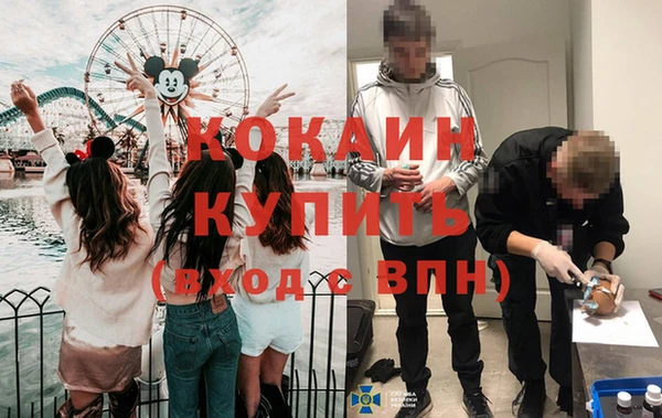 прущие грибы Семикаракорск