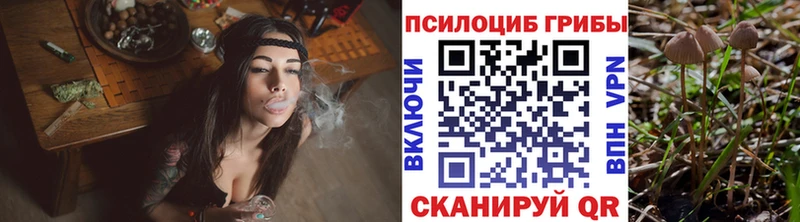 купить наркотик  Высоцк  ОМГ ОМГ рабочий сайт  Псилоцибиновые грибы GOLDEN TEACHER 